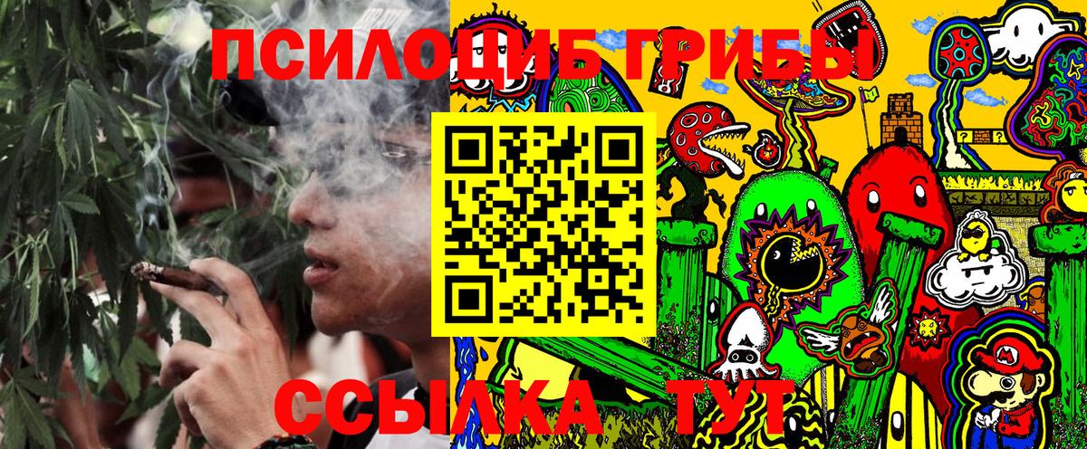 Галлюциногенные грибы Psilocybine cubensis Еманжелинск